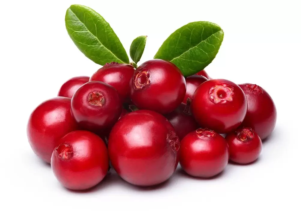 Cranberries in femixal